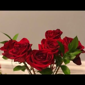 Meet your Posher, Mireya